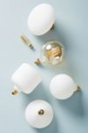 Thumbnail View 2: Tala Porcelain I 3W LED Bulb