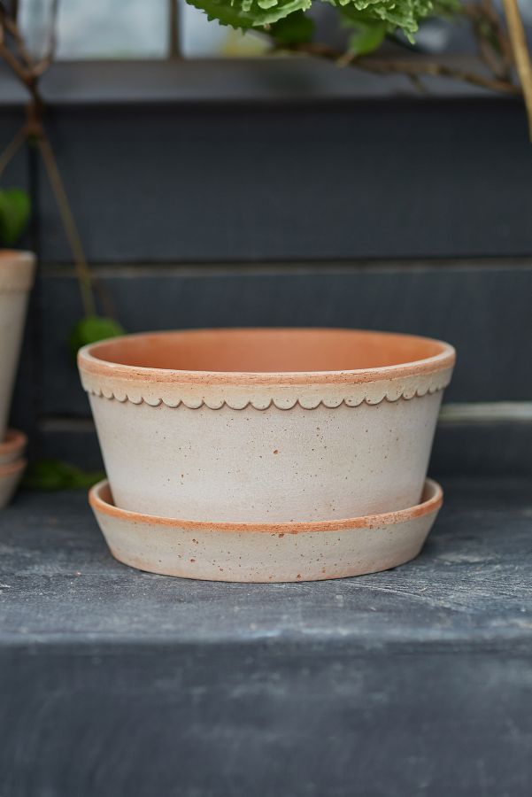 Slide View: 1: Bergs Helena Terracotta Bowl + Saucer Set