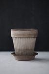 Thumbnail View 8: Bergs Simona Terracotta Pot + Saucer Set