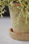 Thumbnail View 3: Earth Fired Clay Herb Pot + Saucer, Set of 3