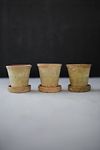 Thumbnail View 2: Earth Fired Clay Herb Pot + Saucer, Set of 3