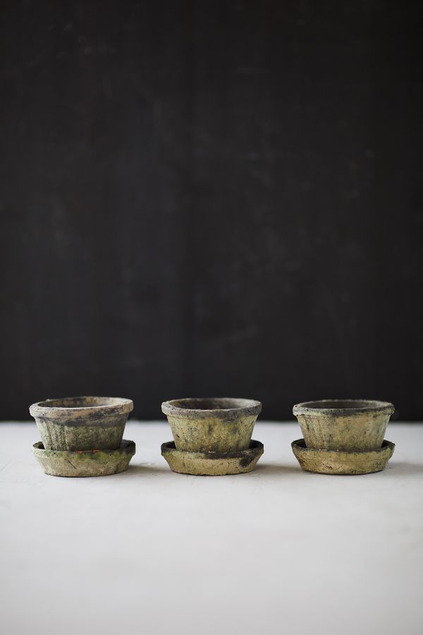 Slide View: 3: Earth Fired Clay Thin Rim Pot + Saucer, Set of 3