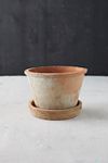 Thumbnail View 3: Earth Fired Clay Thin Rim Pot + Saucer Set