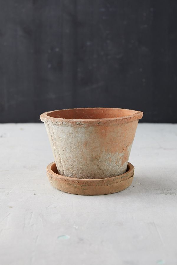 Slide View: 3: Earth Fired Clay Thin Rim Pot + Saucer Set