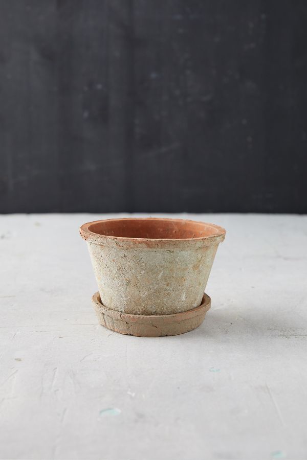 Slide View: 4: Earth Fired Clay Thin Rim Pot + Saucer Set