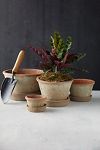 Thumbnail View 6: Earth Fired Clay Thin Rim Pot + Saucer Set