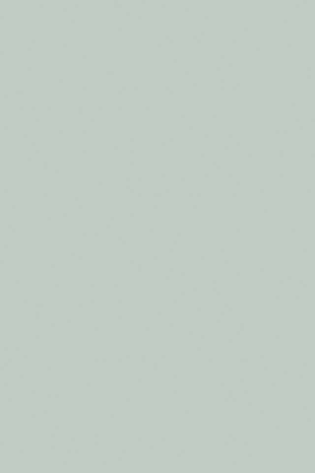 Teresa's Green No. 236 - Farrow & Ball paint color swatch. #teresasgreen #bestgreenpaintcolors