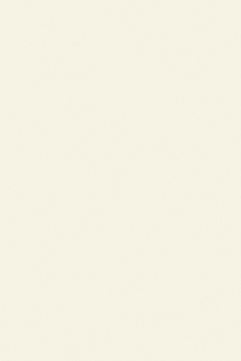 Wimborne White No.239 - 750ml 