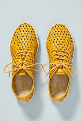 payless kendall