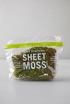 Thumbnail View 1: Preserved Sheet Moss