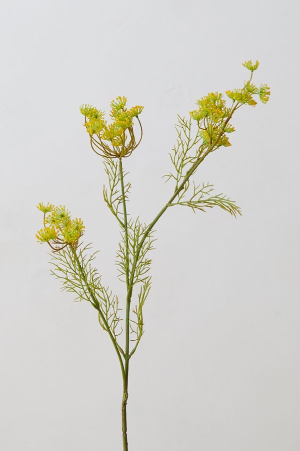 Faux Queen Anne's Lace Spray, Yellow Anthropologie