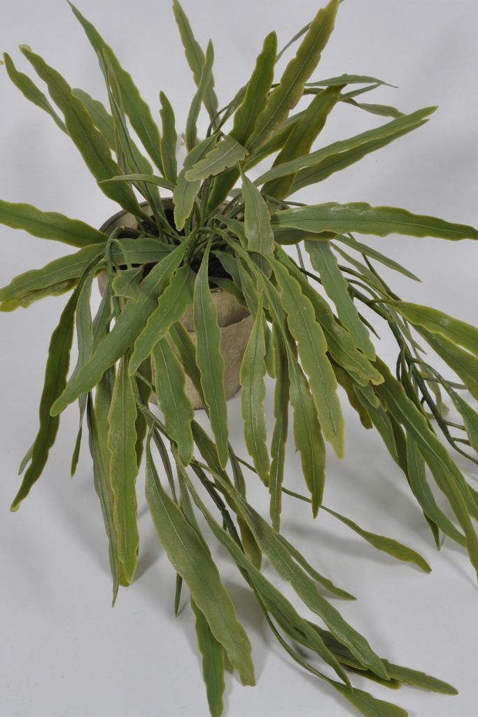 Faux Potted Plant Anthropologie