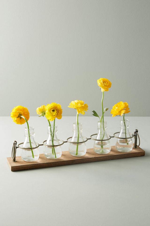 Apothecary Bud Vases, Set of 5 Anthropologie