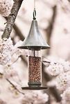 Thumbnail View 1: Verdigris Peak Bird Feeder