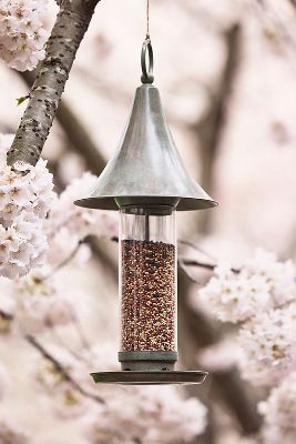 Verdigris Peak Bird Feeder