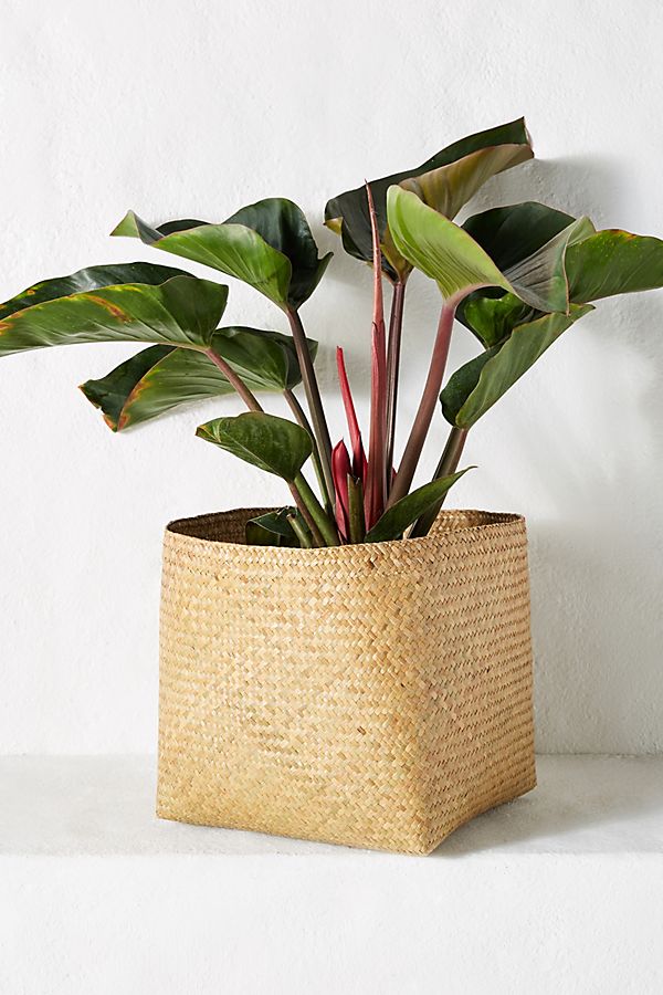 Slide View: 1: Woven Planter Basket