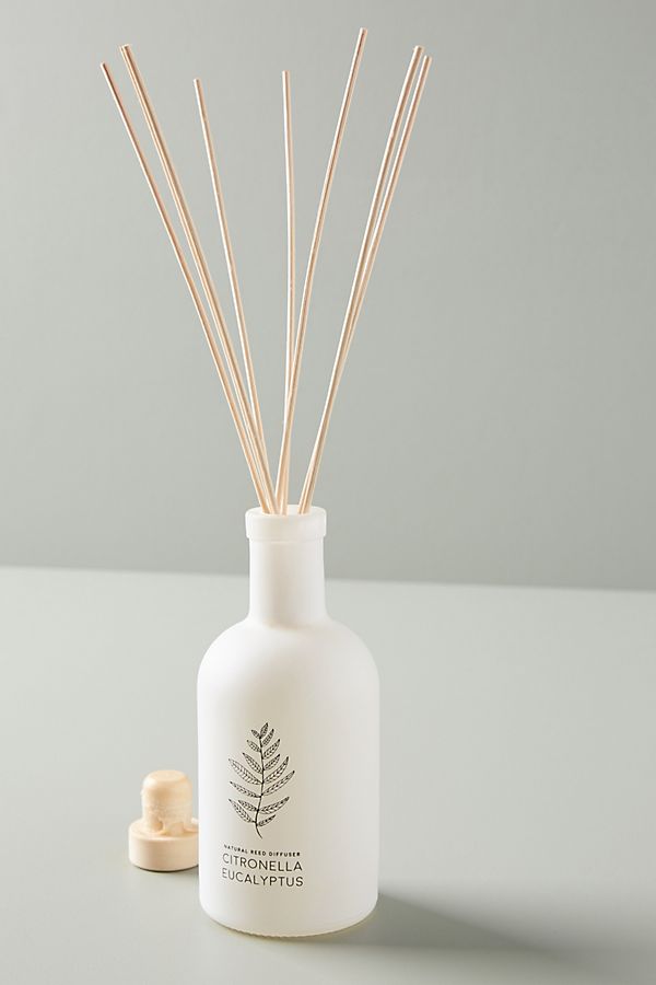 Slide View: 1: Cerabella Citronella Reed Diffuser