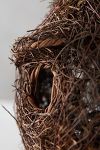 Thumbnail View 6: Brushwood Bird Nester