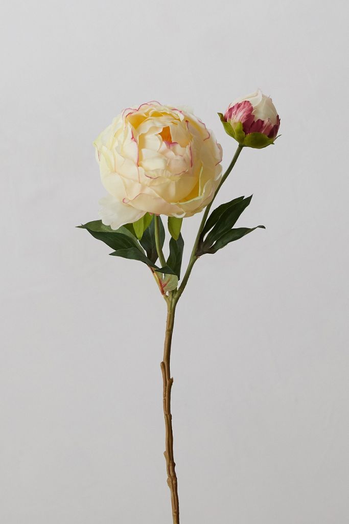 Faux Peony Stem, Pink + Yellow Anthropologie