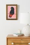 Thumbnail View 1: Red-Tailed Black Cockatoo Wall Art