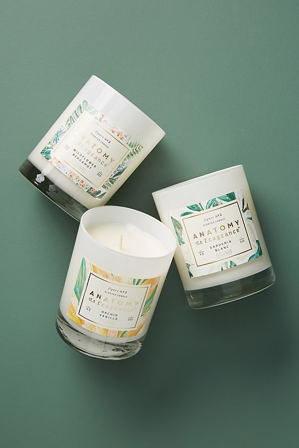 Slide View: 2: Anatomy of a Fragrance Candle