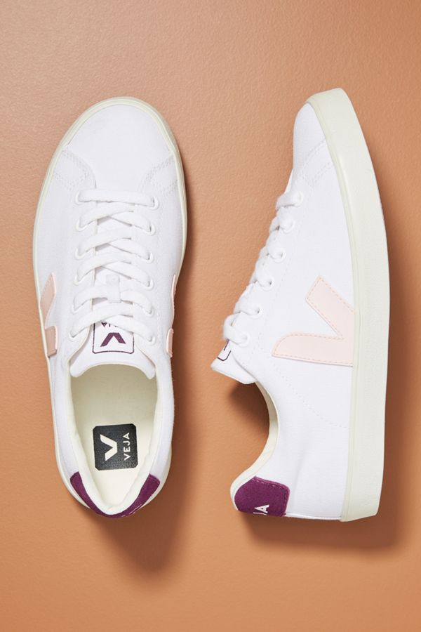 veja anthropologie