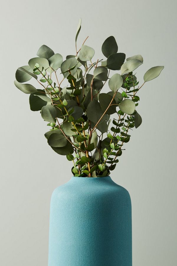 Dried Eucalyptus Bouquet Anthropologie UK