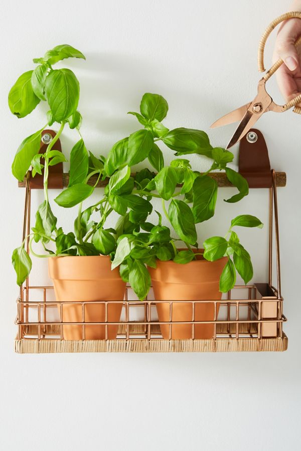 Anthropologie Chloe Herb Basket + Scissors