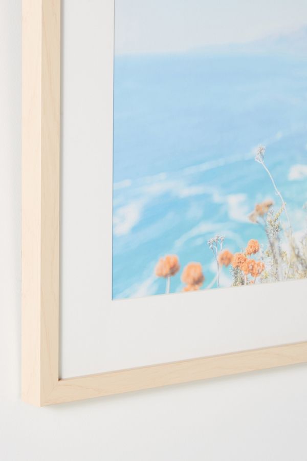 Big Sur Flowers Wall Art Anthropologie