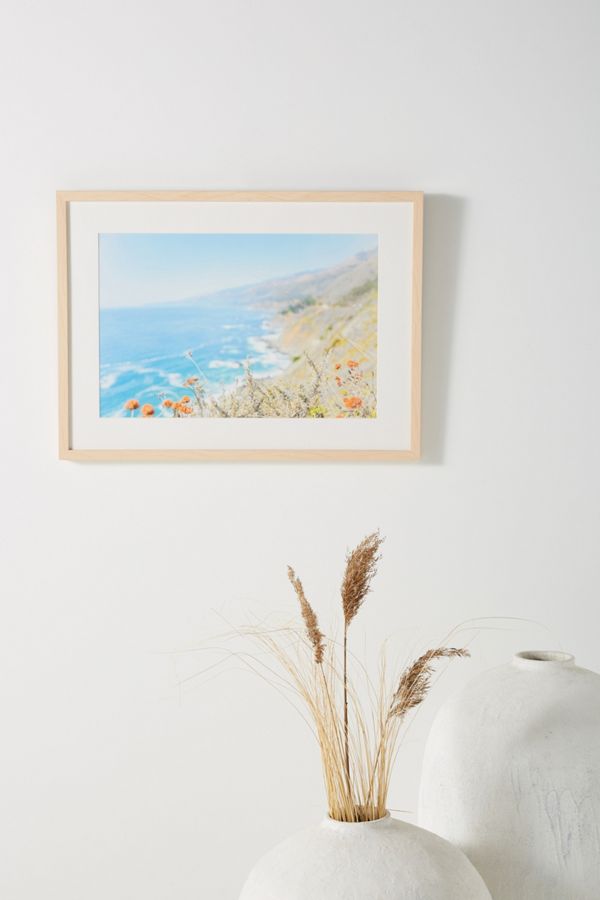 Big Sur Flowers Wall Art Anthropologie