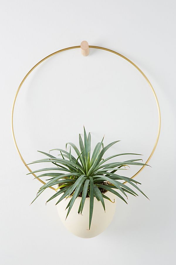 Slide View: 1: Brass Spora Hanging Planter