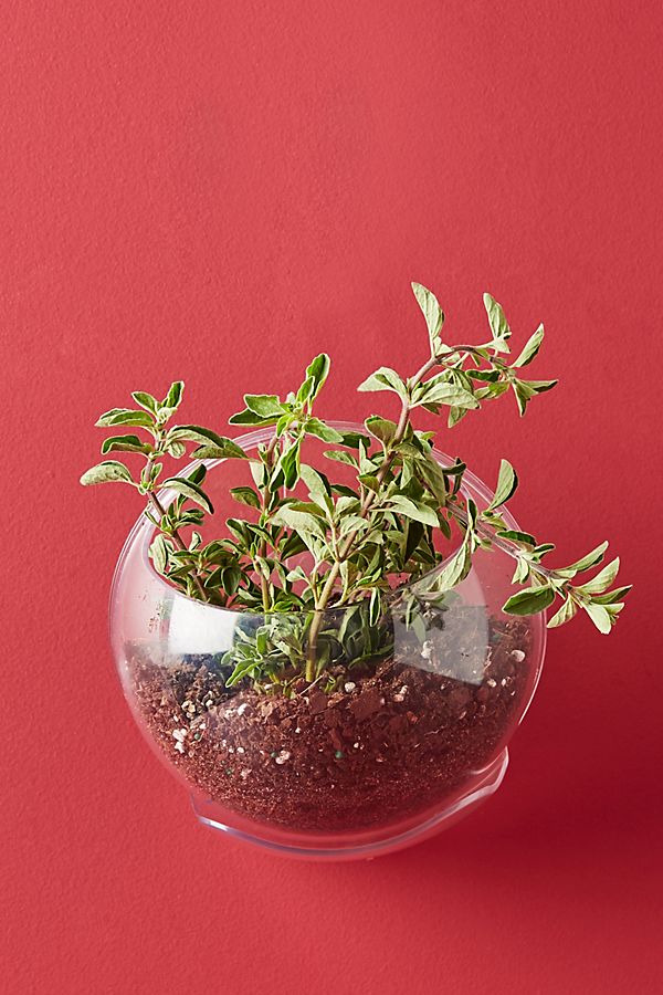 Slide View: 1: Urbz Crystal Clear Window Planter