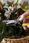 Thumbnail View 7: Niwaki Lightweight Hybrid Secateurs