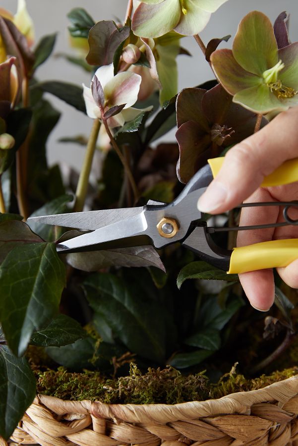 Slide View: 7: Niwaki Lightweight Hybrid Secateurs