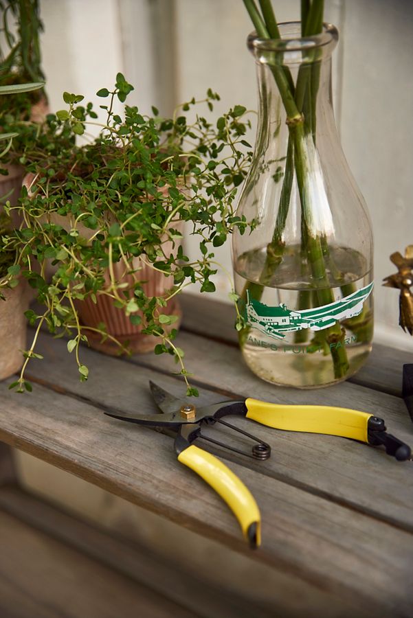 Slide View: 2: Niwaki Lightweight Hybrid Secateurs