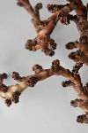 Thumbnail View 2: Twisted Ladder Branch