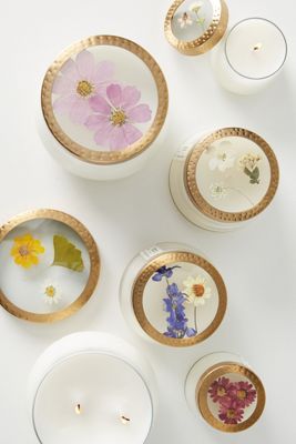 Amazon Com Rosy Rings Bay Garland Tall Round Scented Candles 5 Home Kitchen