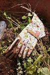 Thumbnail View 1: Long Floral Garden Gloves