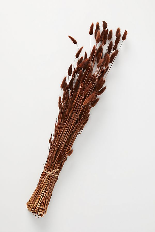 Slide View: 1: Dried Bunny Tail Bouquet