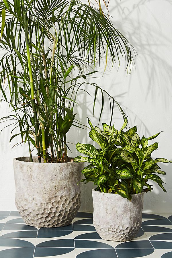 Slide View: 5: Maxine Planter