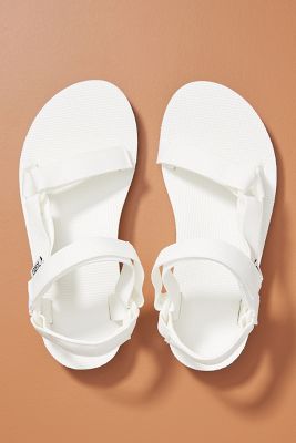 teva anthropologie