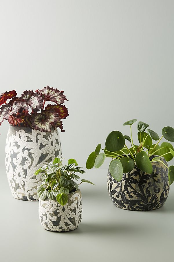 Slide View: 3: Ornamental Vine Pot