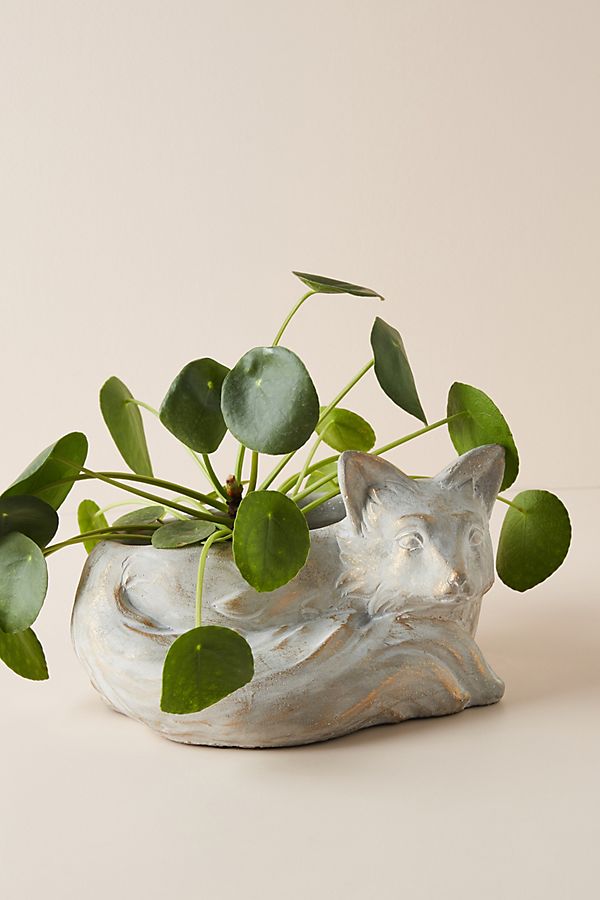 Slide View: 1: Fox Planter