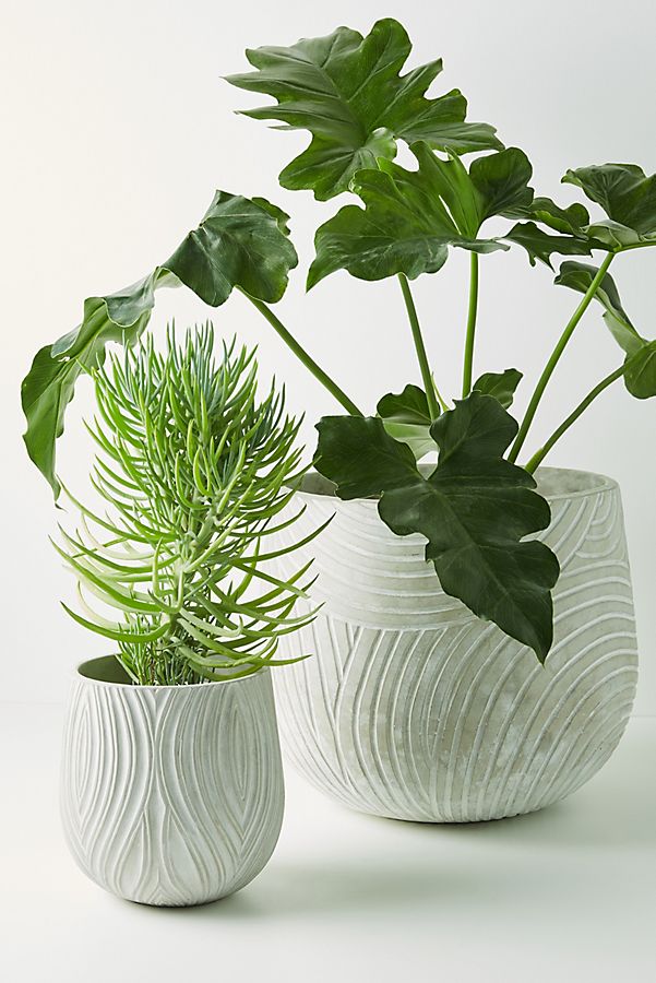 Slide View: 3: Sierra Pot