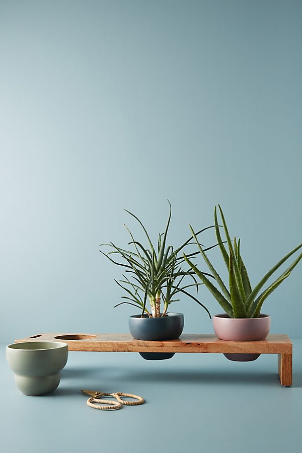 Slide View: 1: Heloise Planter Set
