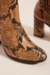 Schutz Snake Ankle Boots | Anthropologie