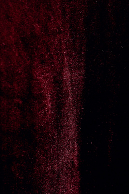 jenny yoo logan dark berry