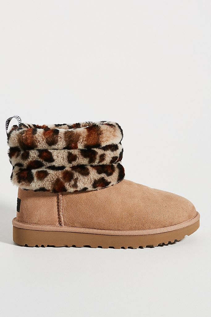 uggs leopard uggs leopard