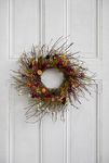 Thumbnail View 1: Birch + Preserved Ammobium Wreath