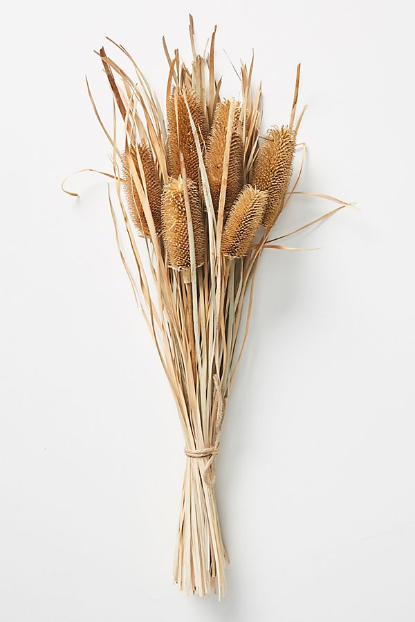 Slide View: 1: Dried Banksia Bouquet